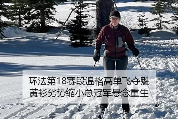huan-fa-di-sai-duan-wen-ge-gao-dan-fei-duo-kui-huang-shan-lie-shi-suo-xiao-zong-guan-jun-xuan-nian-chong-sheng-2-206.jpg